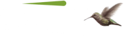 Sapix logo 